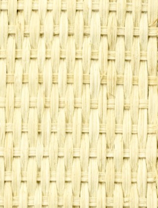 cane rattan mesh